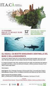 locandina IT.A.CA'