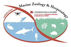 Emilio Sperone Lab